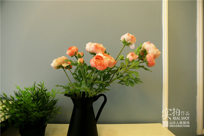 客廳風水植物什么最好