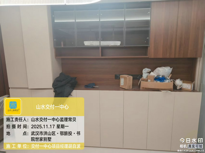 鄂旅投書院世家別墅工地巡檢2025.11.17