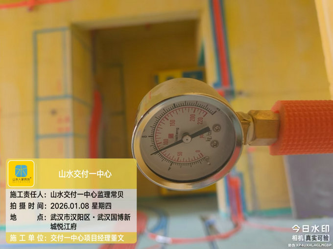 武漢國博新城悅江府工地巡檢