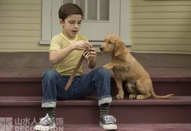 看電影.學裝修：因為有你，所以有意義