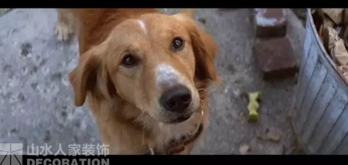 看電影.學裝修：因為有你，所以有意義