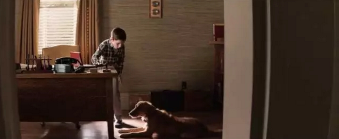 看電影.學裝修：因為有你，所以有意義