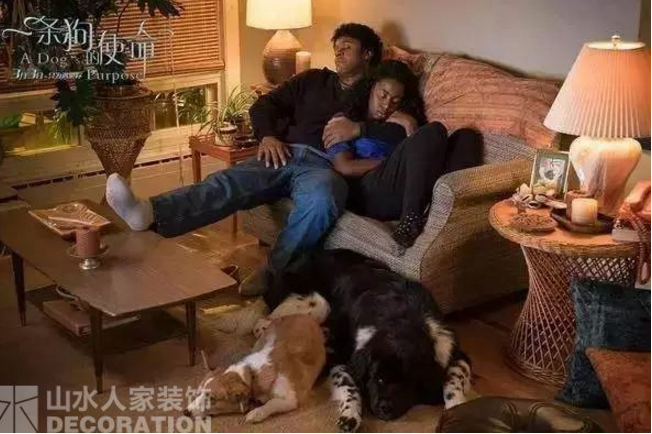 看電影.學裝修：因為有你，所以有意義