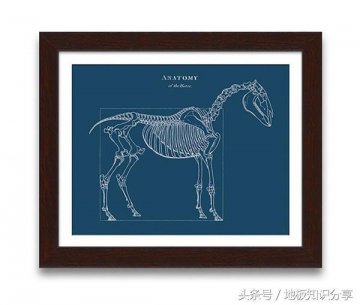 給大家曬曬很酷的家裝擺件！