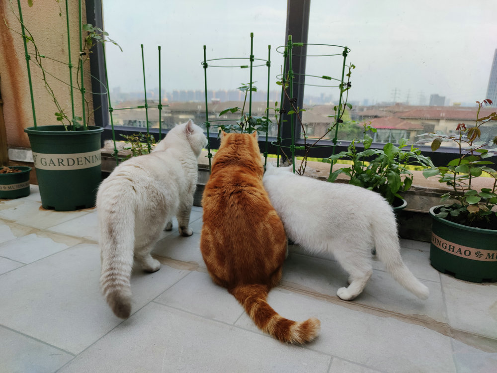 祥生君城頂層復式裝修效果圖