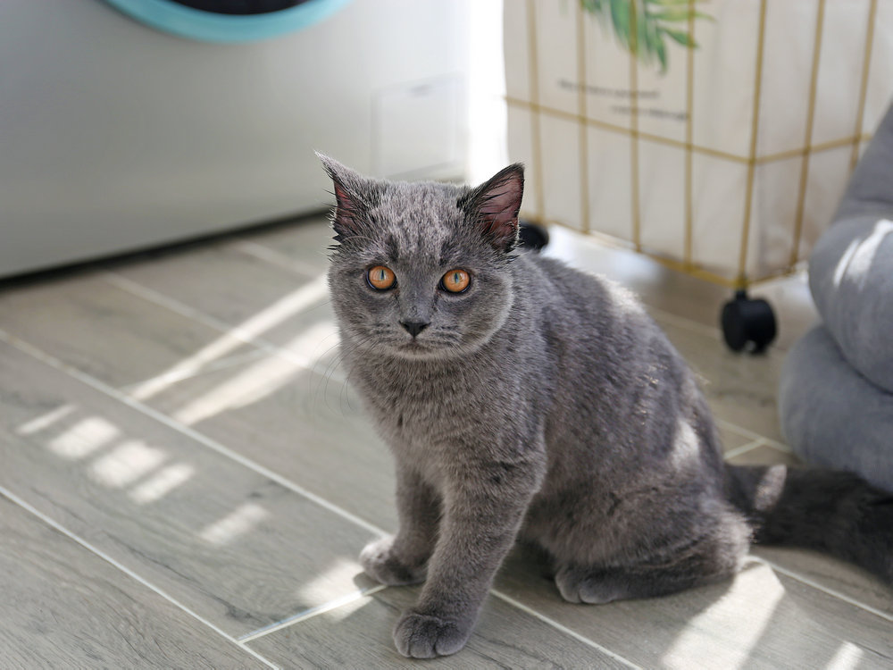 三里民居北歐輕奢風格裝修效果圖