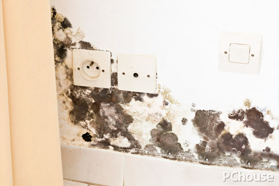 雨水多易發霉？這些生活妙招不得不知