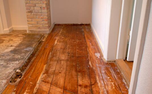 家居保養攻略：春季雨水多家居易發霉如何解決？